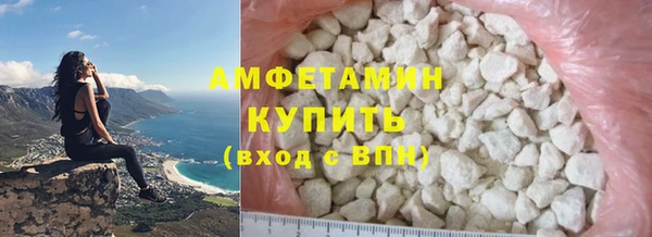 прущие грибы Горно-Алтайск