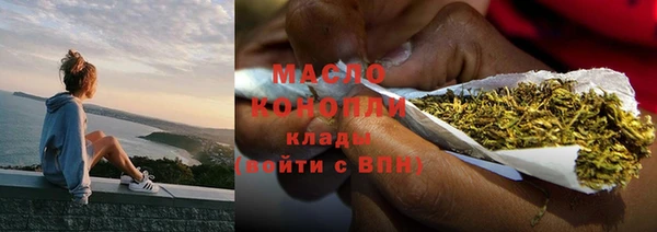 прущие грибы Горно-Алтайск
