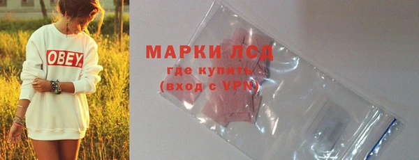 прущие грибы Горно-Алтайск