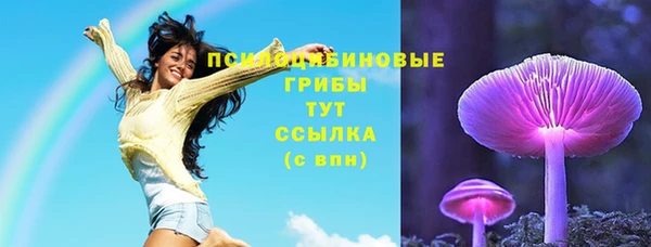 марки nbome Горняк