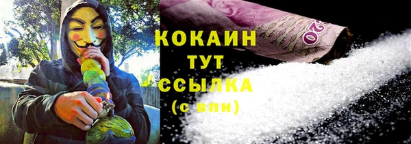 прущие грибы Горно-Алтайск