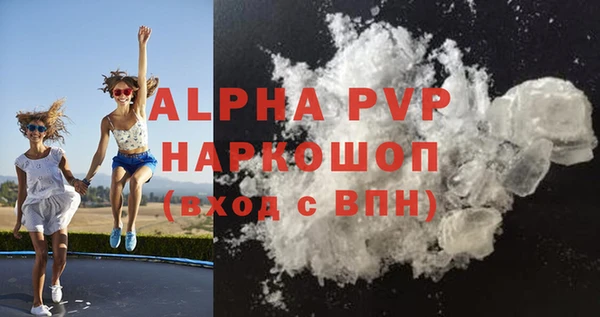 прущие грибы Горно-Алтайск
