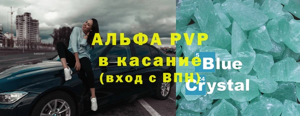 прущие грибы Горно-Алтайск