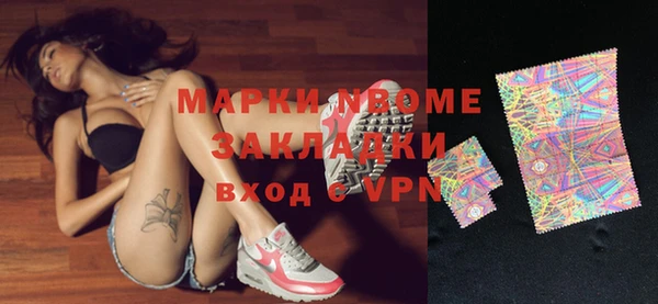прущие грибы Горно-Алтайск