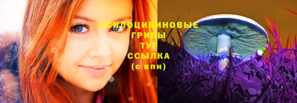марки nbome Горняк